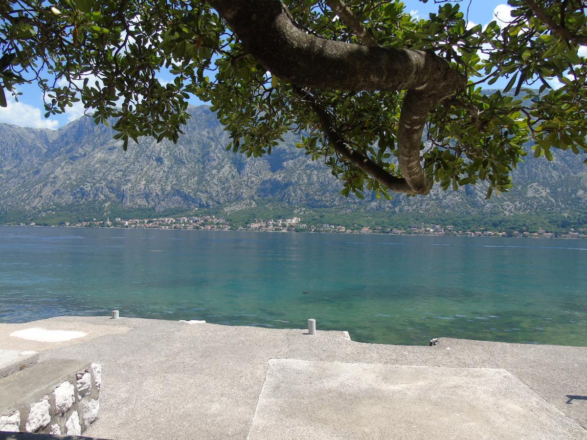 Apartments Marysol Kotor Zewnętrze zdjęcie